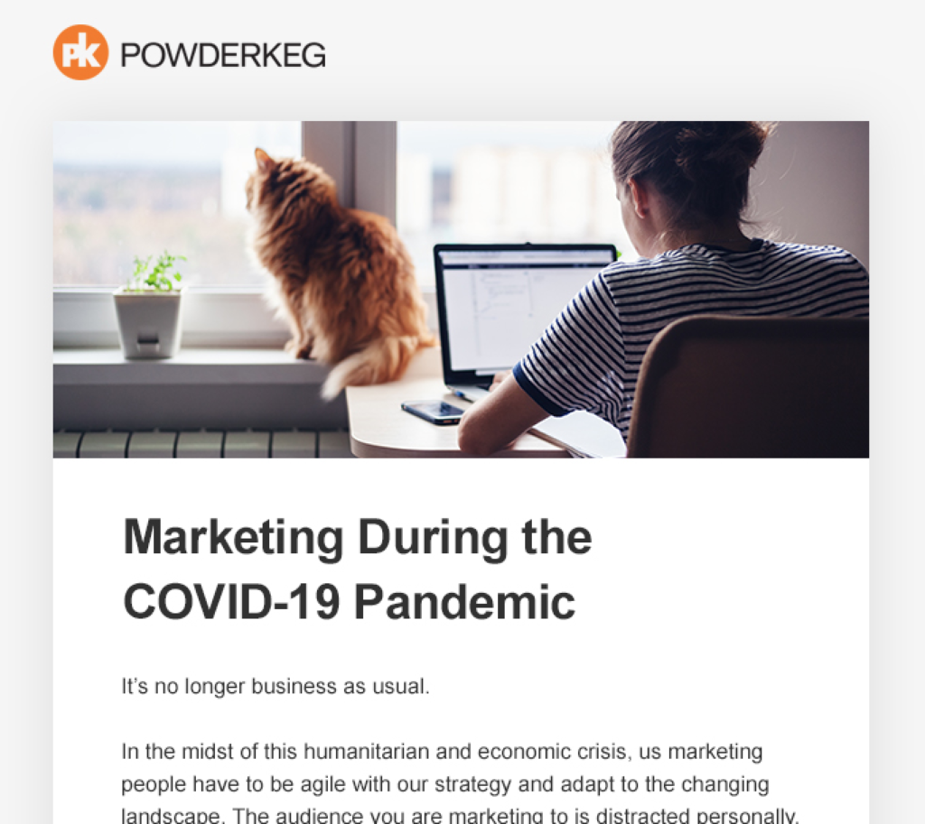 Screenshot of Powderkeg's COVID email newsletter