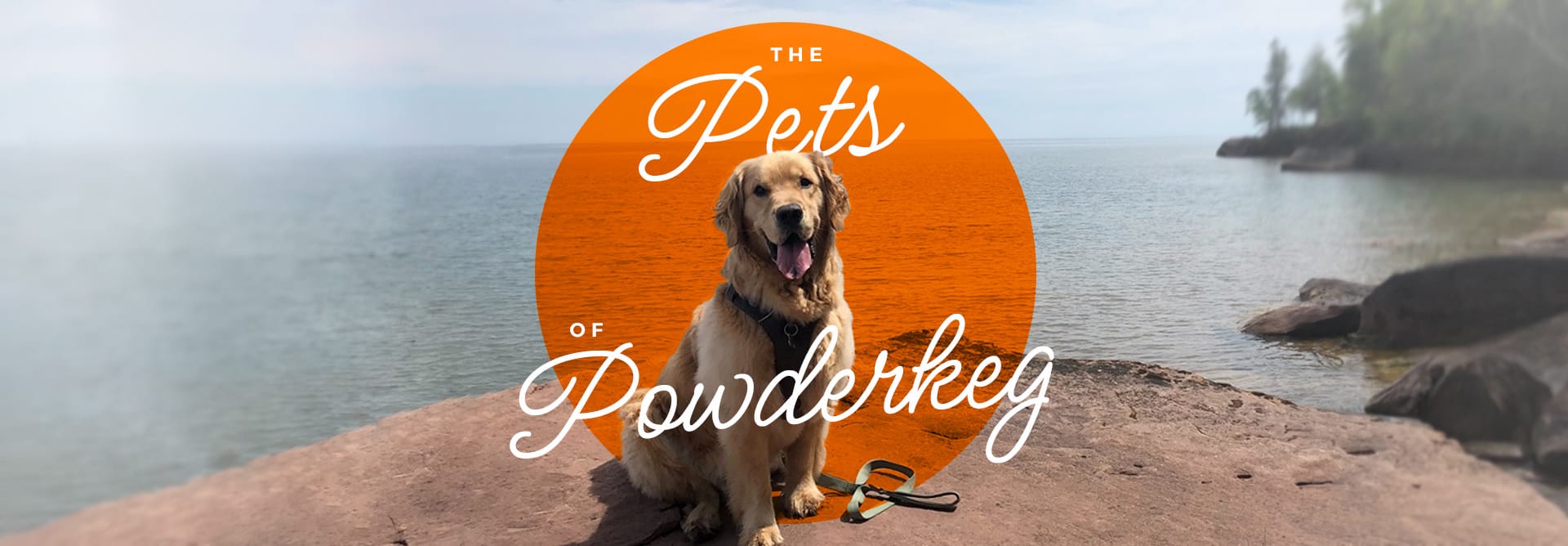 The Pets of Powderkeg